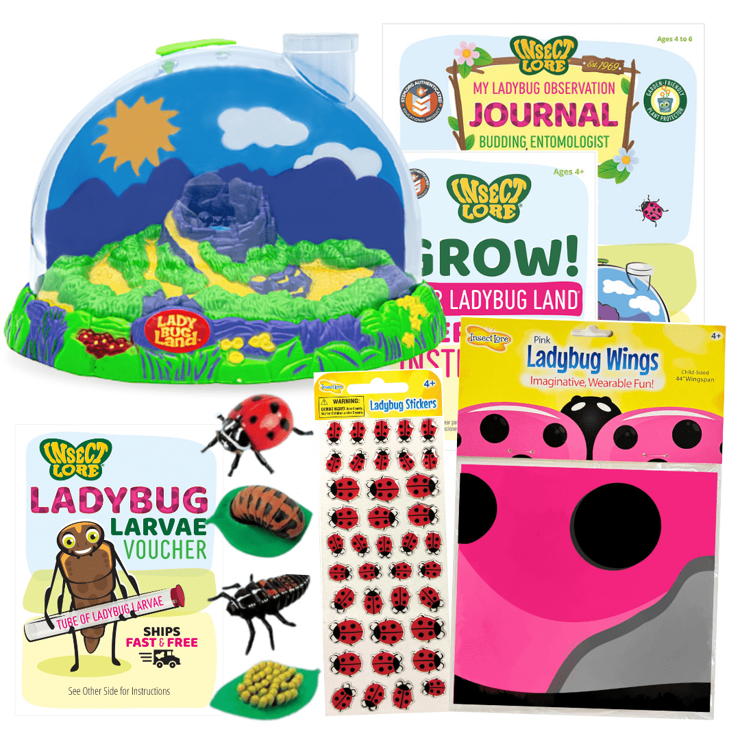 Spotty Jolly Gift Set