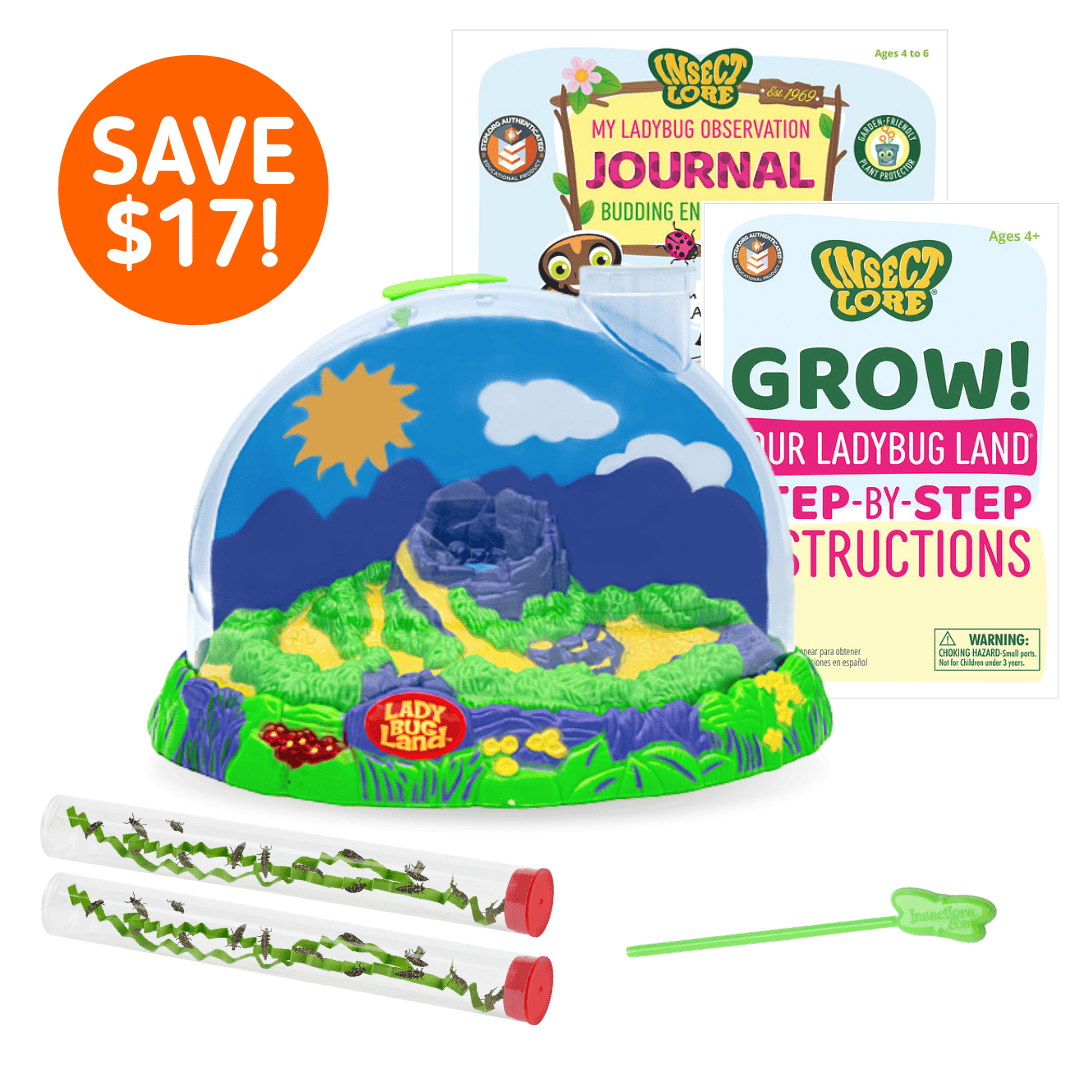Ladybug Land® with Live Ladybugs | New & Improved Design - Insect Lore