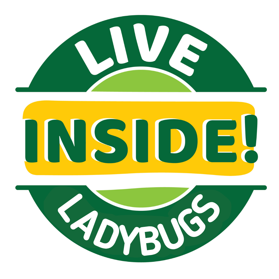 Ladybug Land® With 2 Tubes of Live Ladybug Larvae