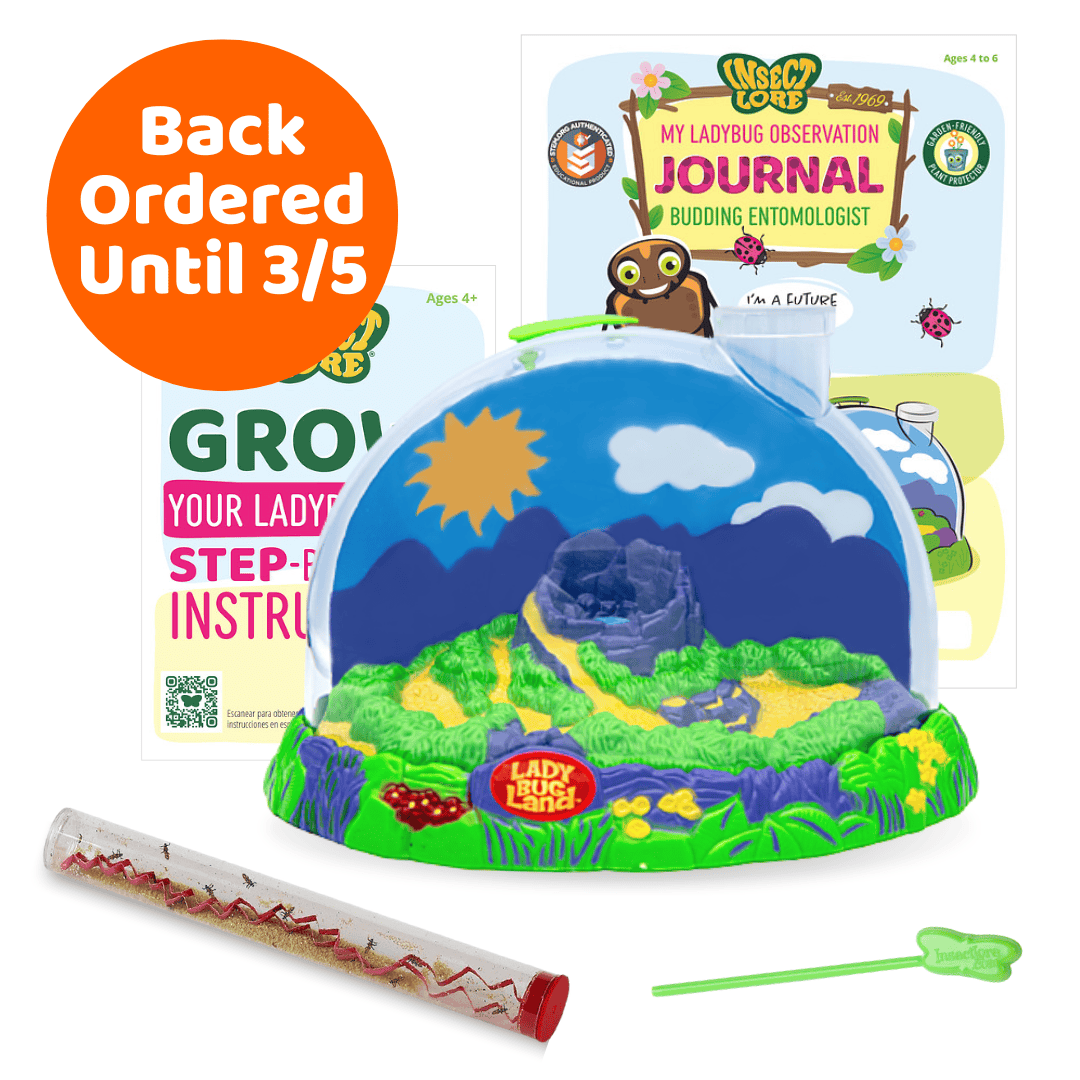 Ladybug Land® With Live Ladybug Larvae