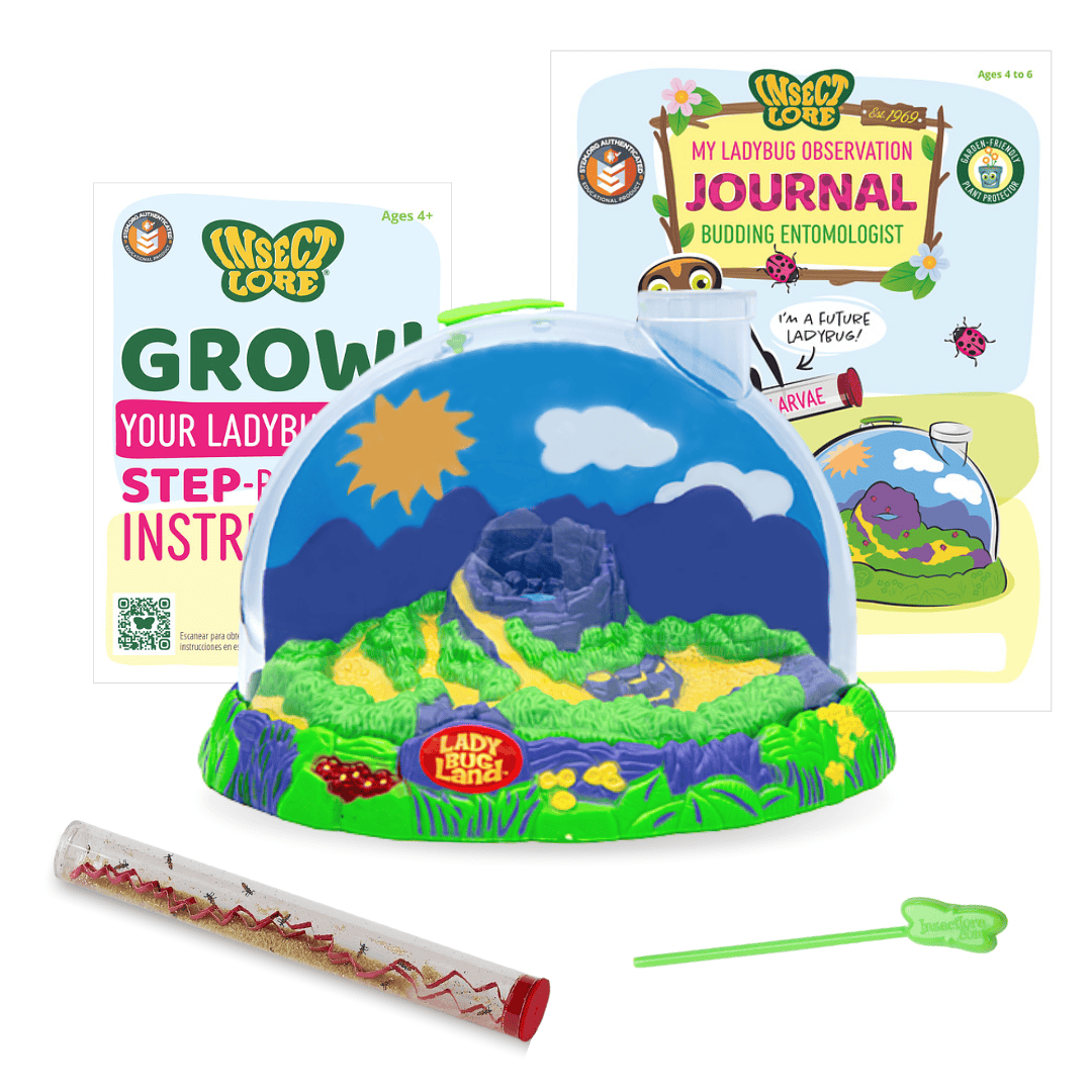 Ladybug Land® With Live Ladybug Larvae