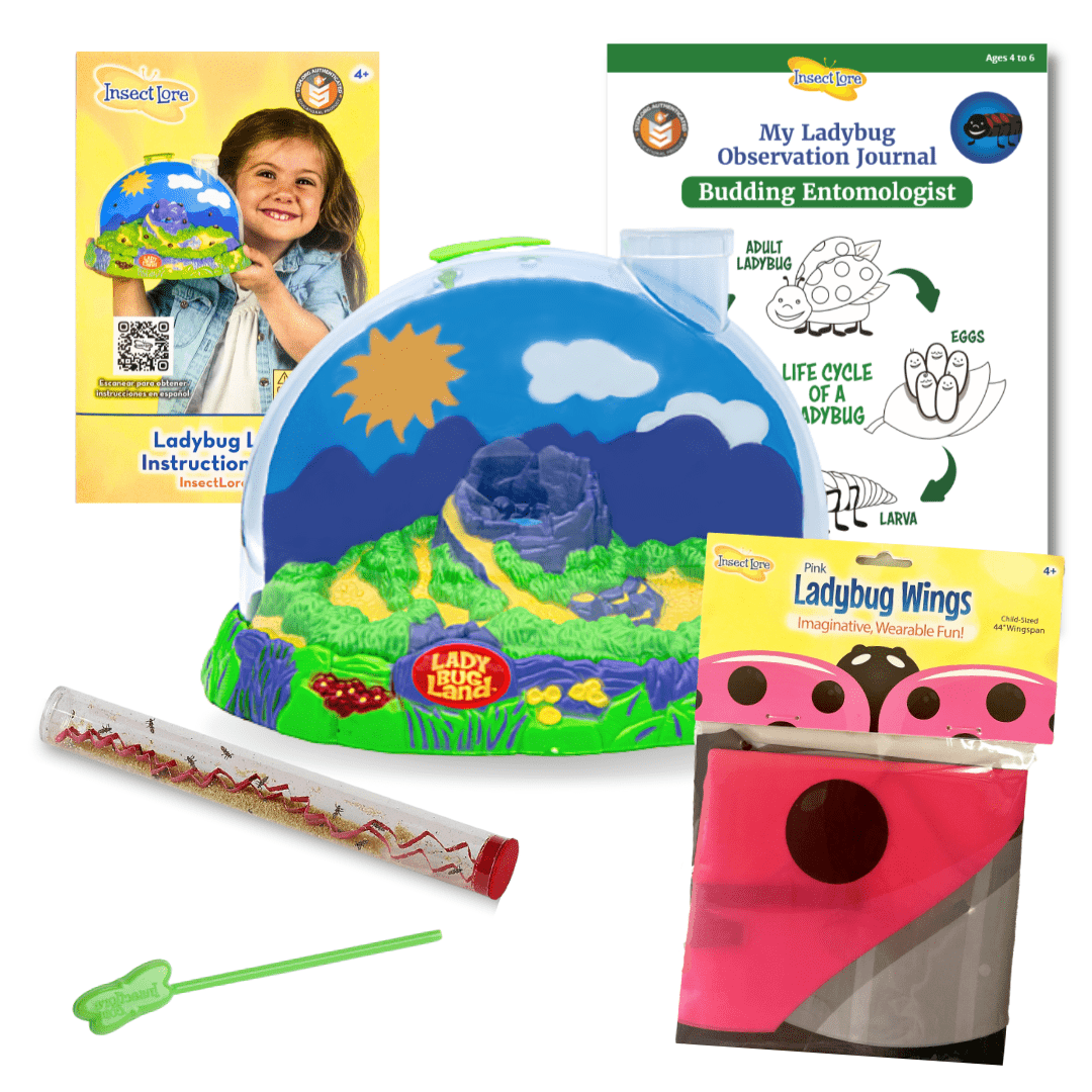 Ladybug Land® With Live Ladybug Larvae and FREE Pink Ladybug Dress-Up Wings