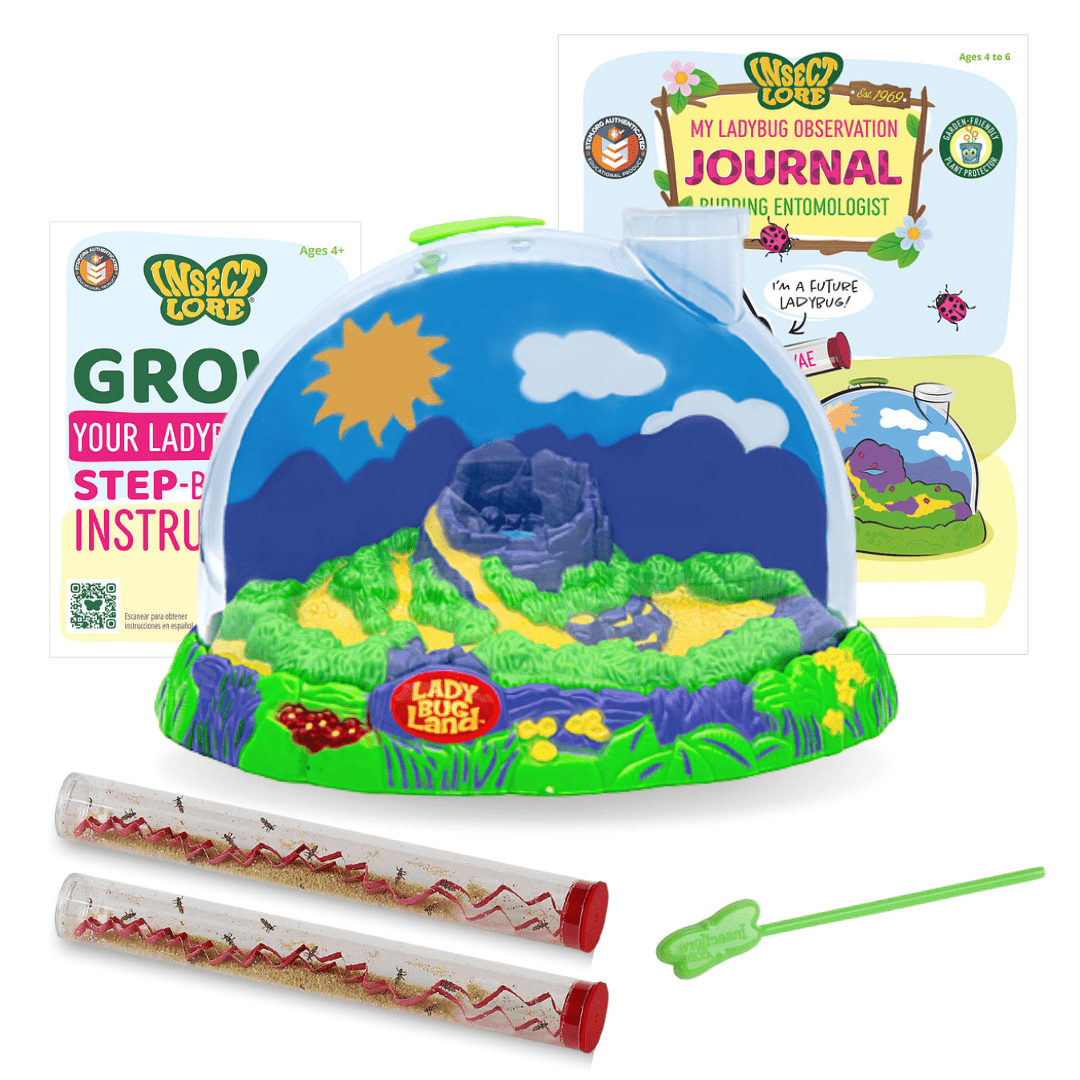 Ladybug Land with Live Larvae and FREE Tube of Ladybug Larvae