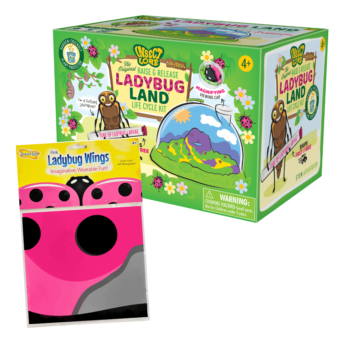 Ladybug Land® With Prepaid Voucher and FREE Pink Ladybug Dress-Up Wings