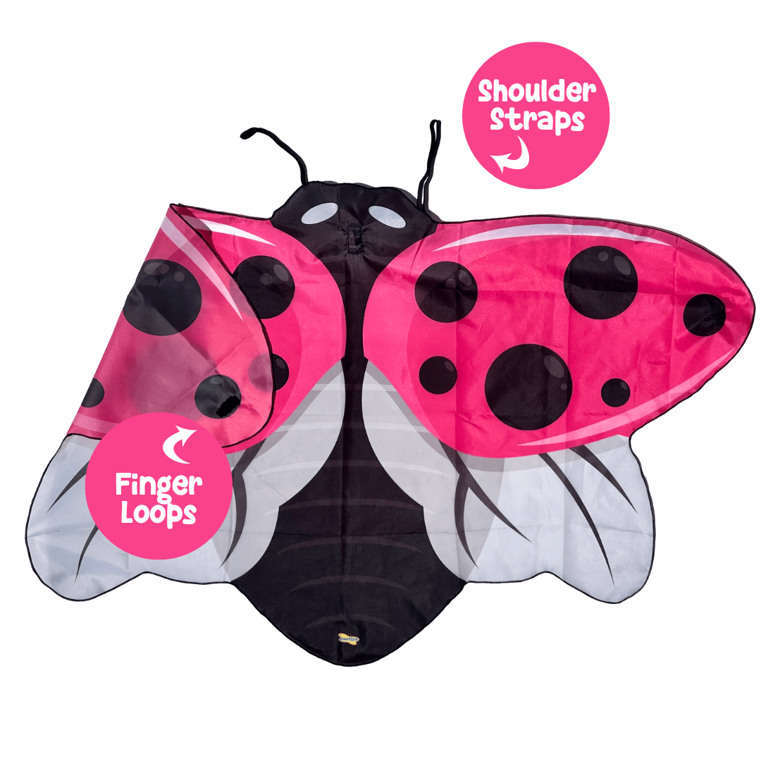 Pink Dress Up Ladybug Wings