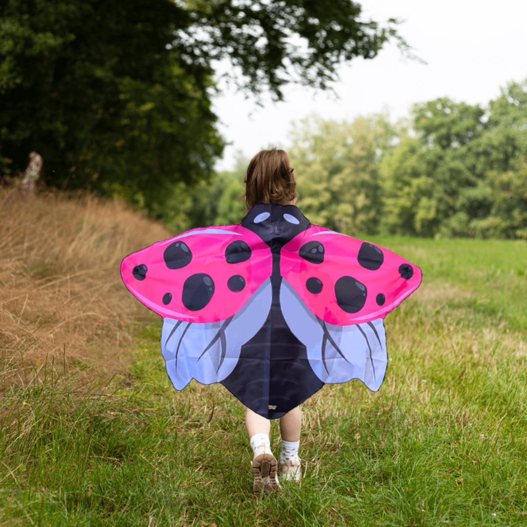 Pink Dress Up Ladybug Wings