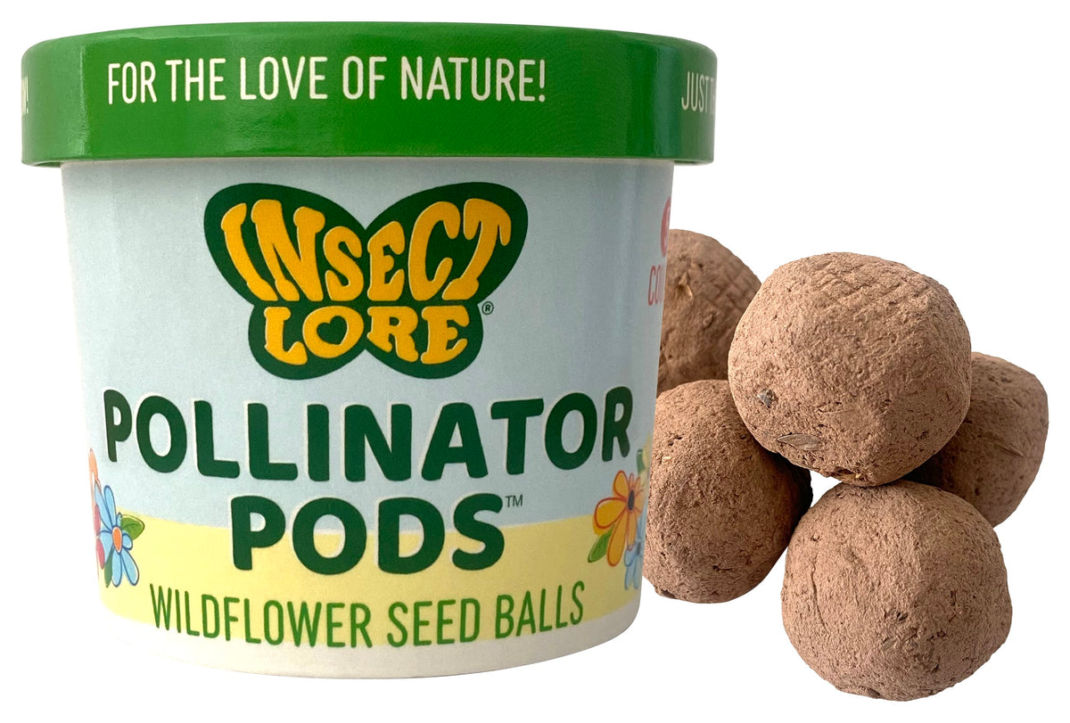 Insect Lore Pollinator Pods wildflower seed balls packaging with seed balls on a white background