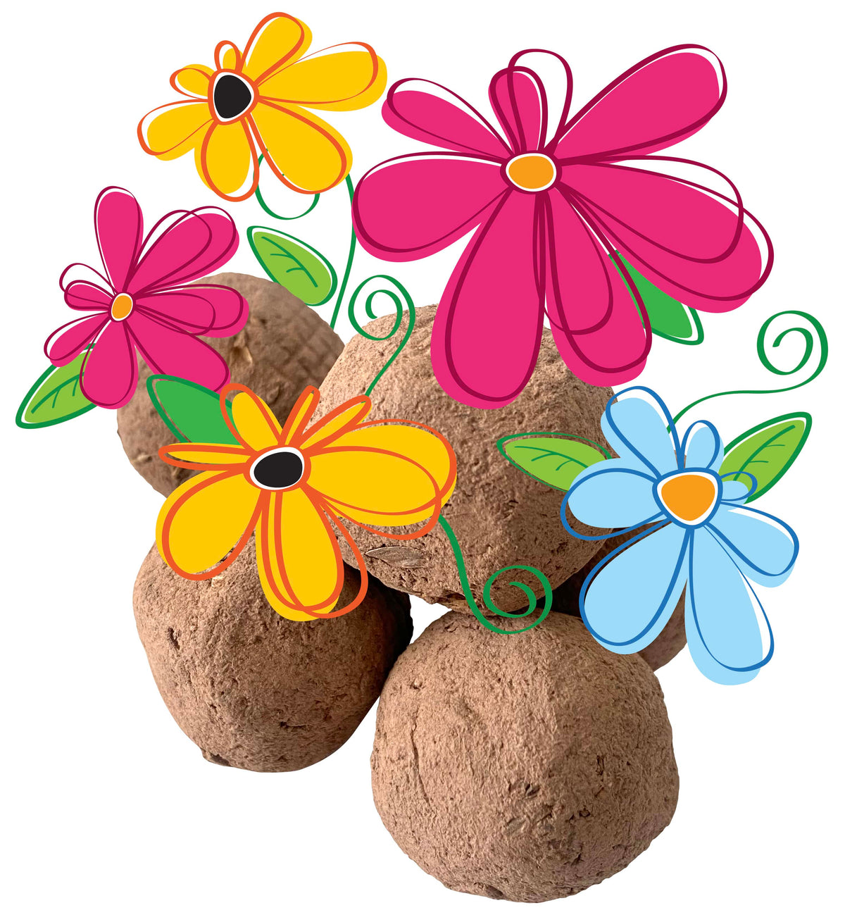 Seed stones with colorful flowers on a white background