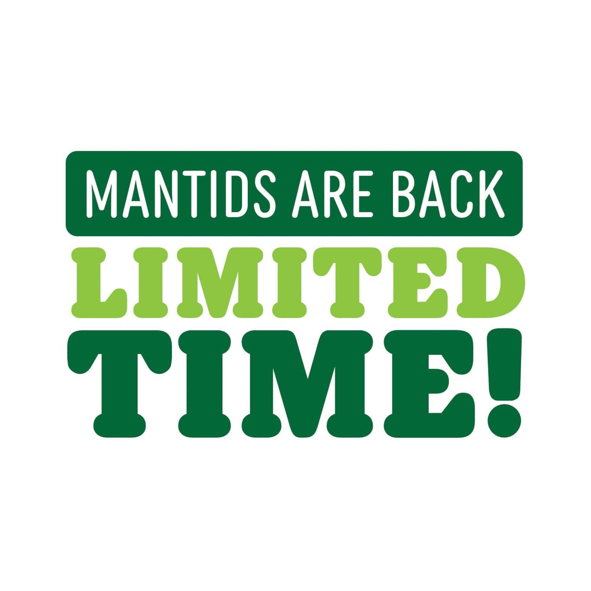 Praying Mantis Egg Case