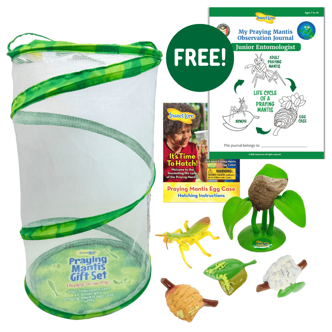 Praying Mantis Gift Set with FREE Junior Journal