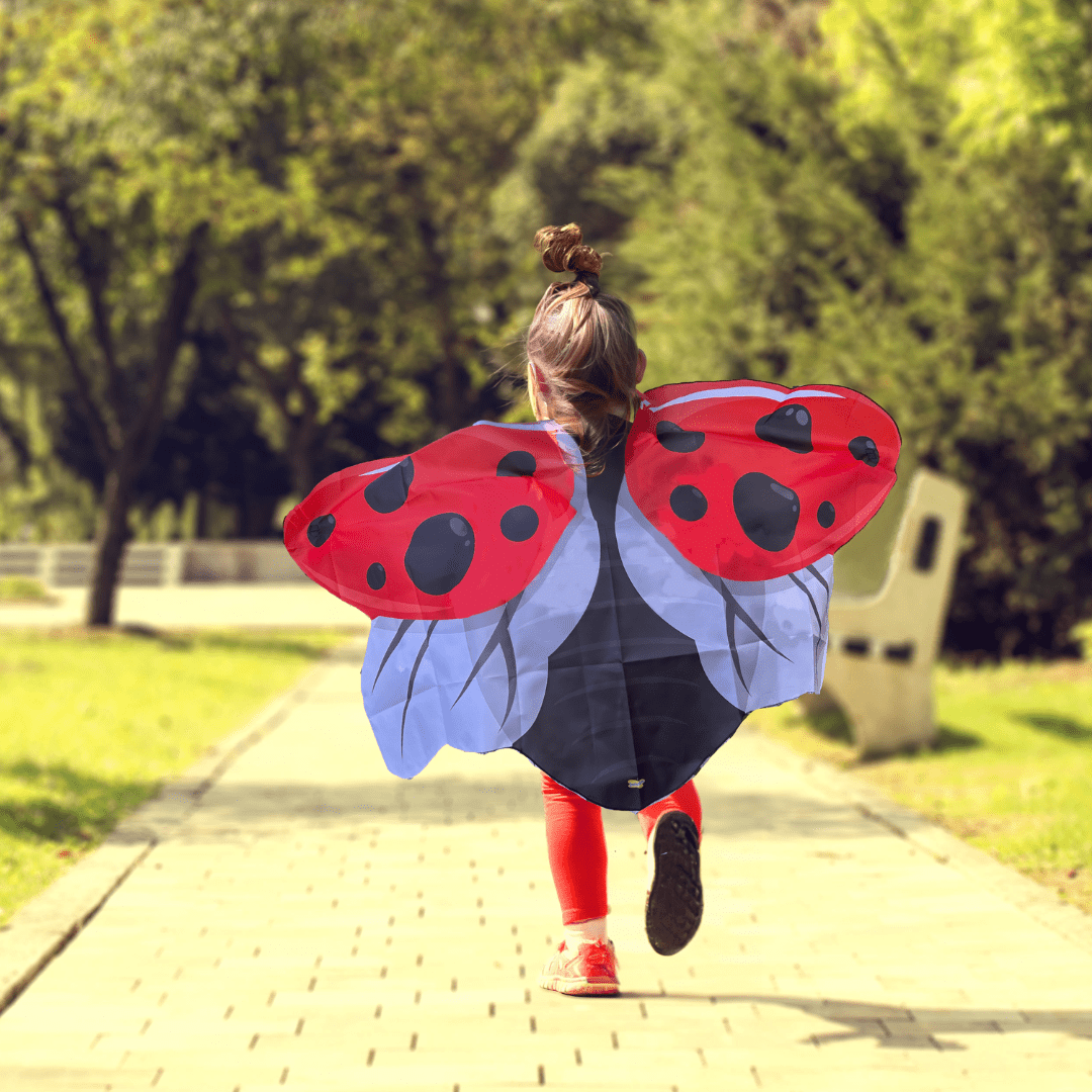 Red Dress-Up Ladybug Wings Red Dress-Up Ladybug Wings