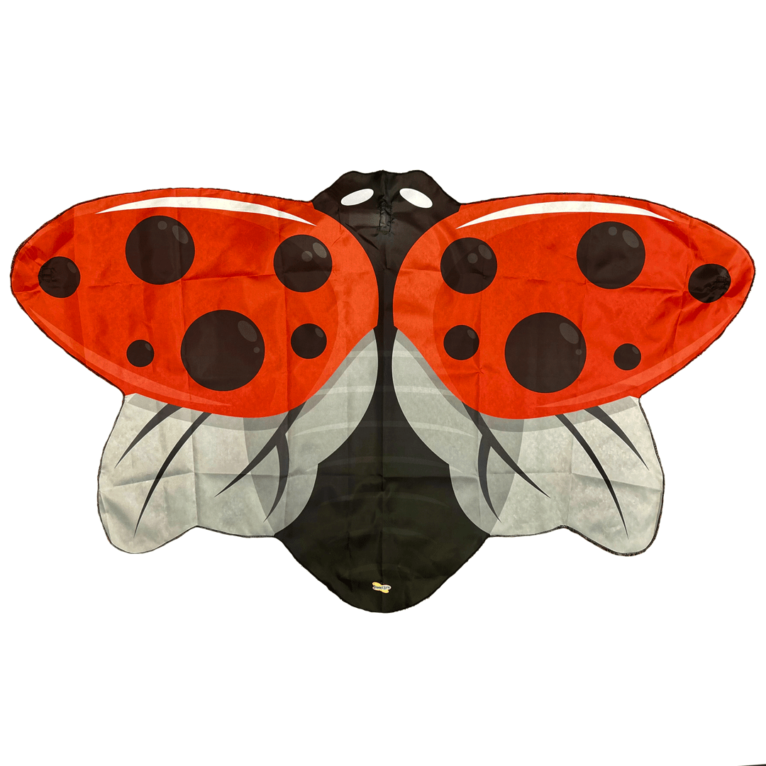 Ladybug Animal Pictures | A-Z Animals Ladybug Animal Pictures | A-Z Animals