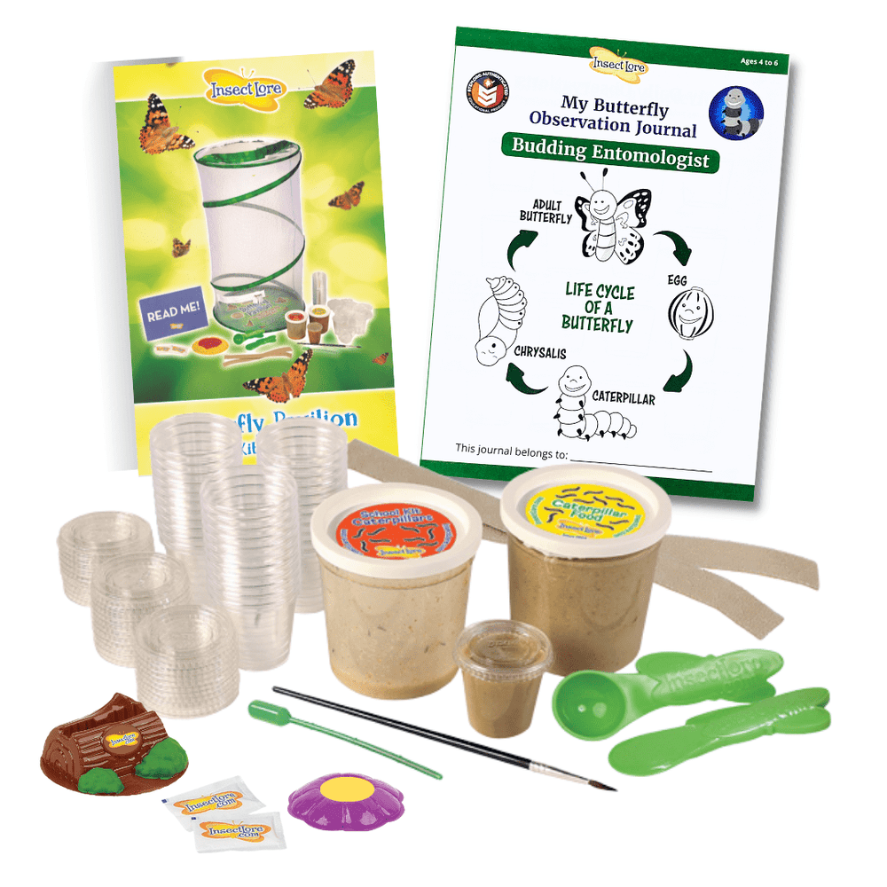 Butterfly Kits for Schools | Shop Educator Favorites at Insect Lore