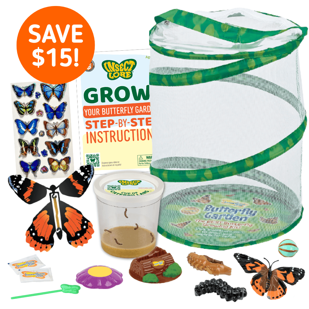 Spring Beginnings Bundle with Live Cup of Caterpillars™