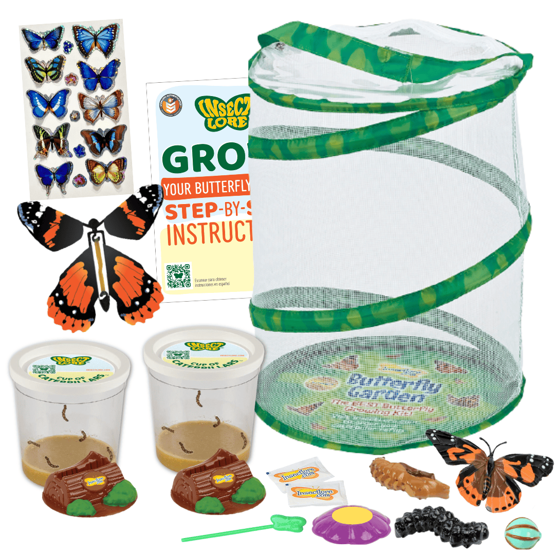 Spring Beginnings Bundle with Live Cup of Caterpillars™ and 2nd Cup FREE!