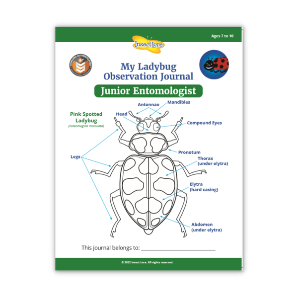 Butterfly Observation Journal Bundle | Budding & Junior Entomologist ...