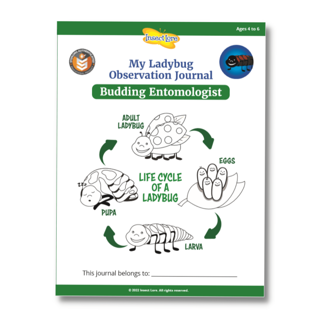 STEM Ladybug Activity Journal Bundle (Budding/Junior)