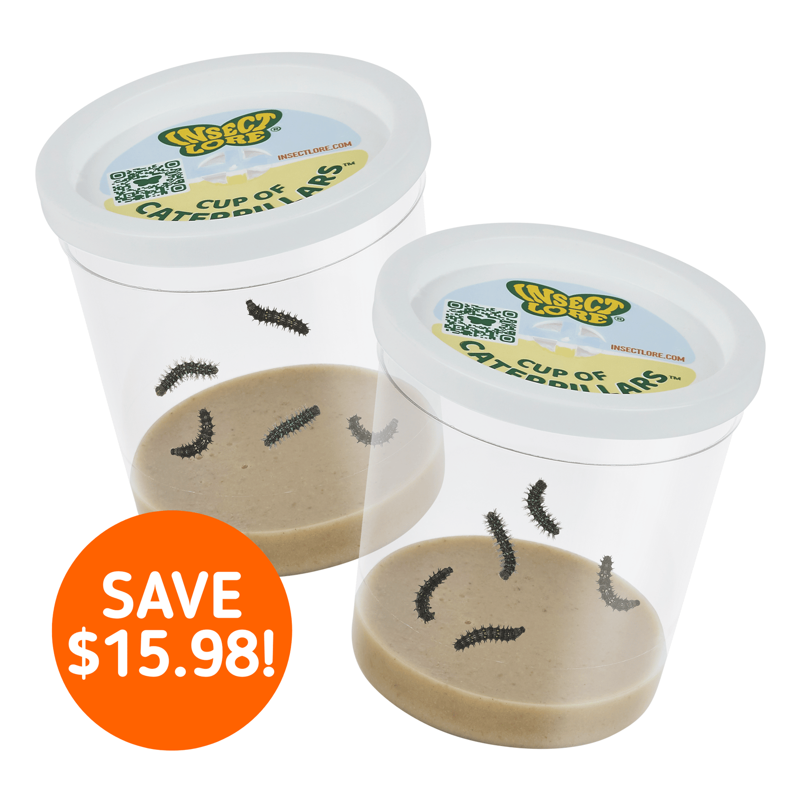 2 Cups of Caterpillars for $20