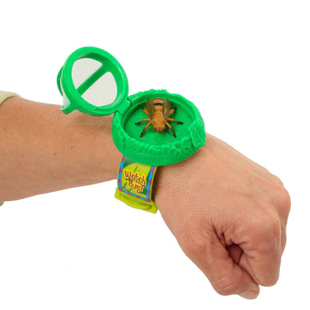 Watch Insect Watch-A-Bug® - Insect Lore