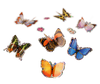 7 shimmering blue, orange, pink and brown 3D butterfly stickers.