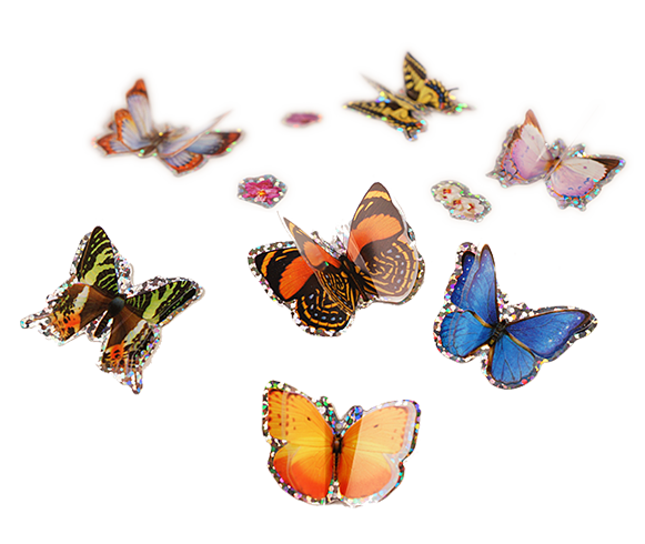 3D Butterfly Stickers for Children