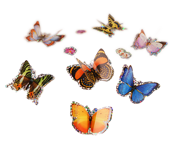 3D Butterfly Stickers