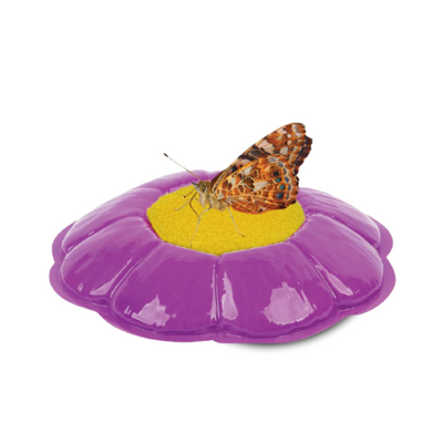 Painted Lady Butterfly on a purple flower shaped butterfly feeder with yellow center sponge