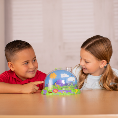 A Girl and Boy looking into green, blue, and purple Ladybug Land