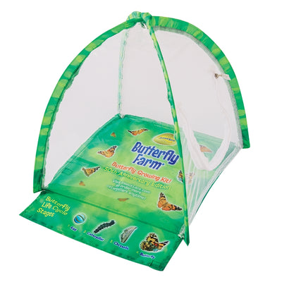 Green tent-shaped butterfly farm with clear viewing panel and fold-out life cycle learning tool.
