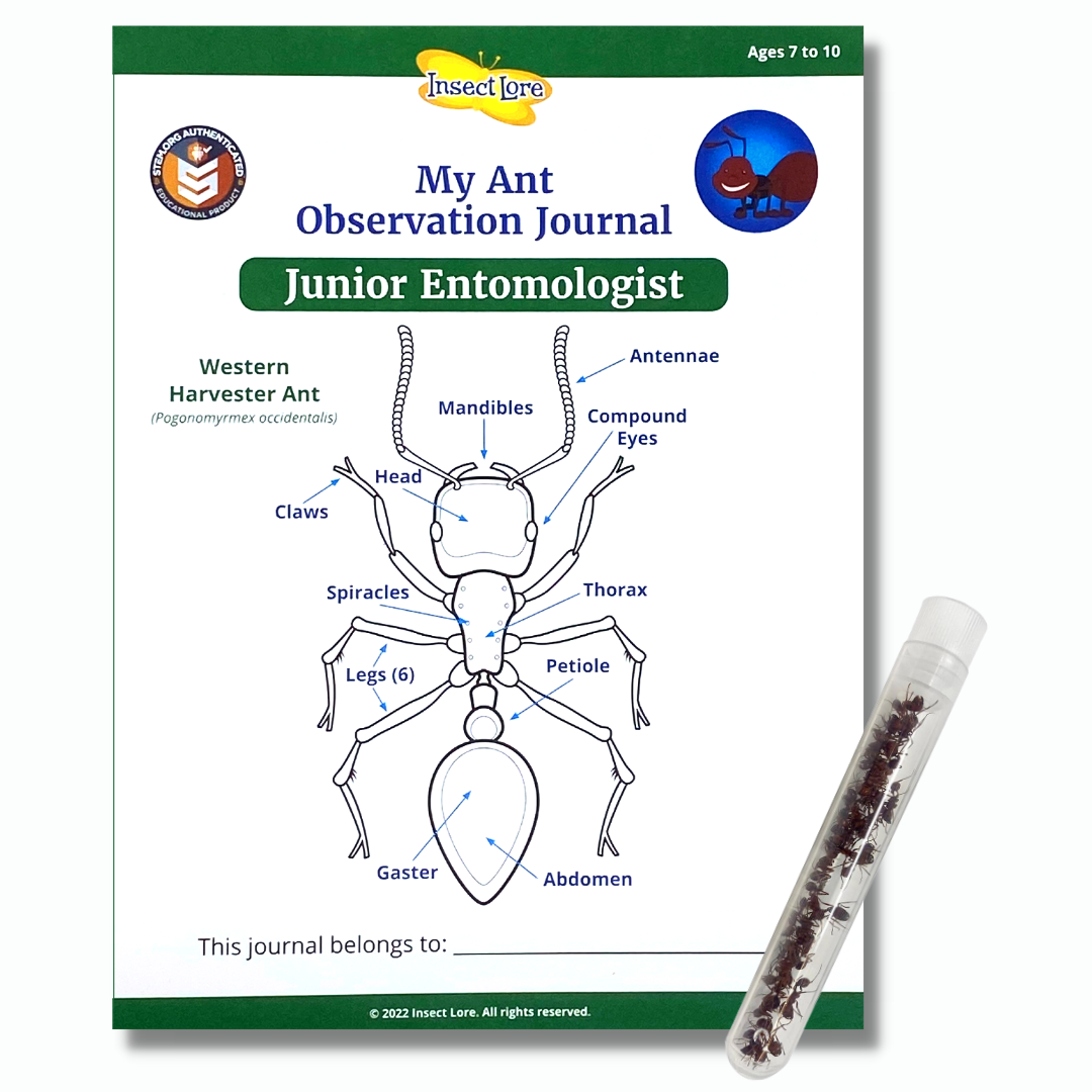 STEM Activity Journal Cover with the anatomy of an ant and a tube of 25 live harvester ants