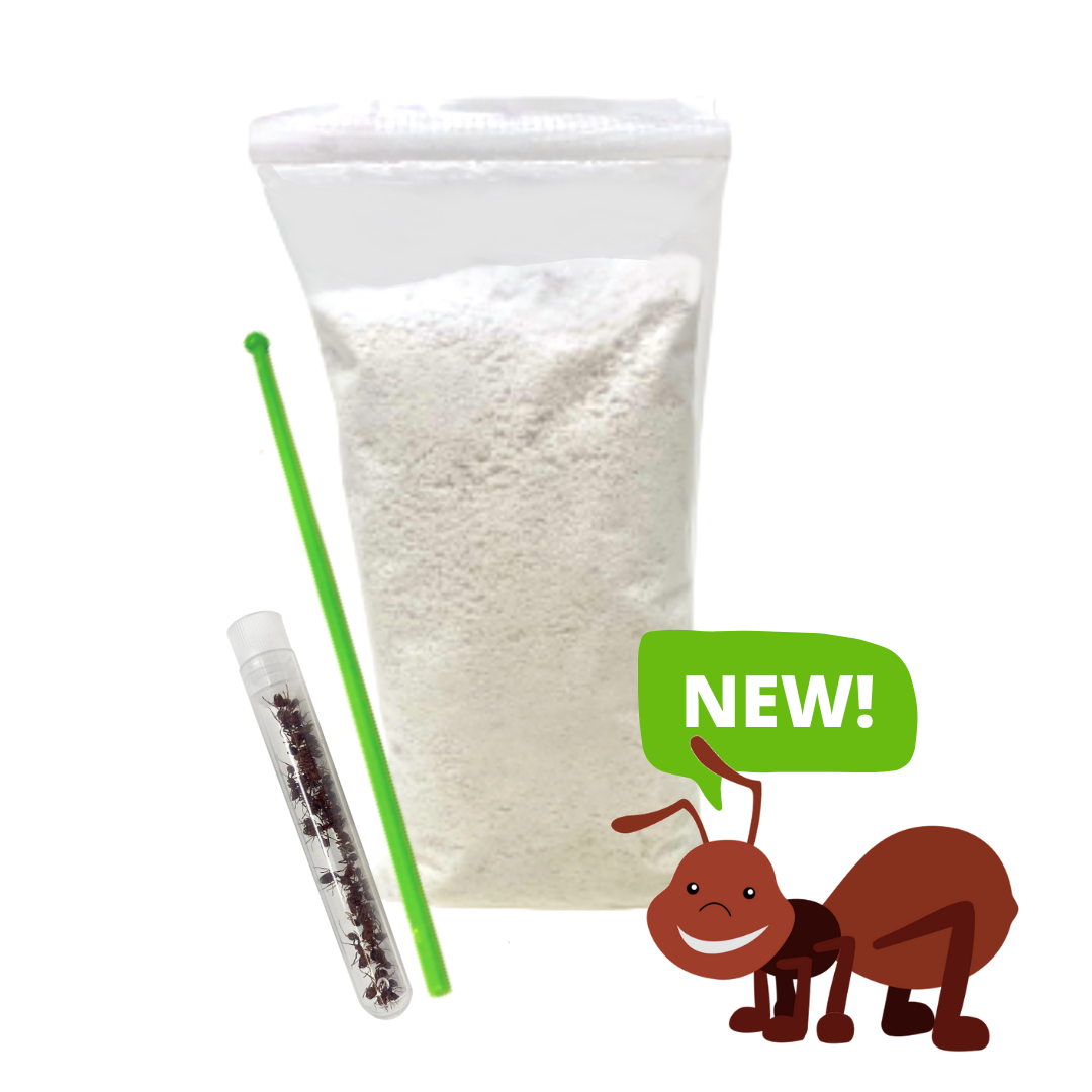 Tube of Live Harvester Ants, Green Sand Tamper, Bag of Pearlite Sand with small animated ant
