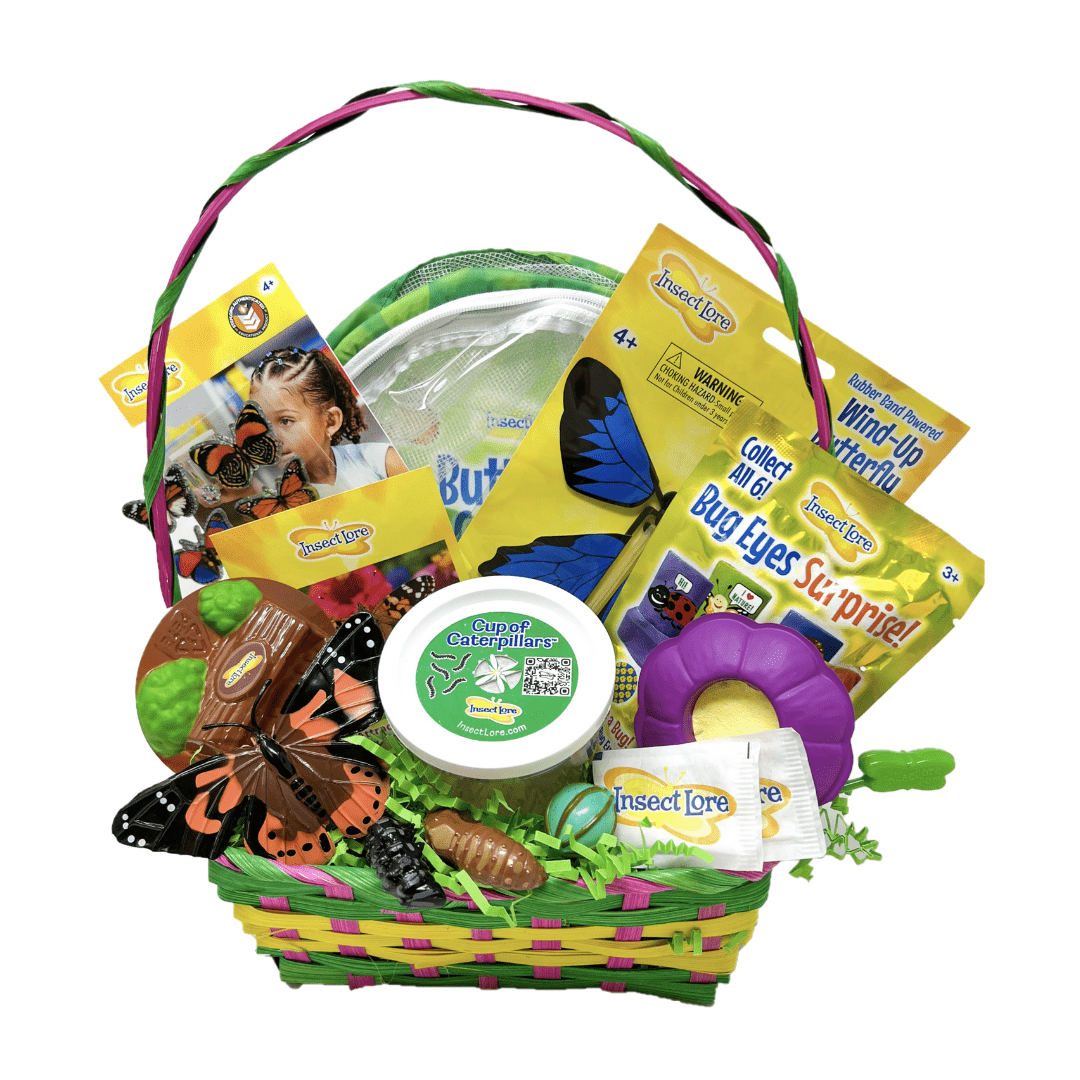 Easter basket for 5 year 2024 old boy