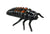 Realistic plastic black and red larva stage of the ladybug life cycle figurines set. 
