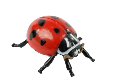 Realistic plastic red and black adult stage of the ladybug life cycle figurines set.