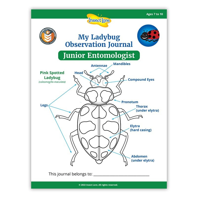 STEM Activity Journal Cover featuring the parts of a ladybug
