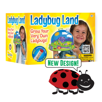 Yellow Box for Ladybug Land with Voucher featuring small child holding the green, purple, and blue Ladybug Land with small, animated ladybug