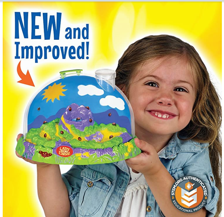 Lady Bug Land Lady Bug Land
