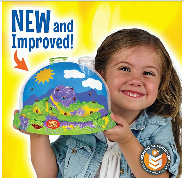 Small Girl holding green, blue, and purple Ladybug Land Habitat