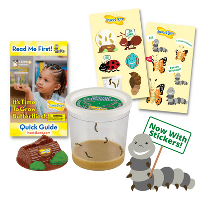 Cup of Caterpillars, Brown Chrysalis Holding Log for Cup Lid, Caterpillar Quick Guide Instructions, Two Sheets of Animated Mascot Stickers