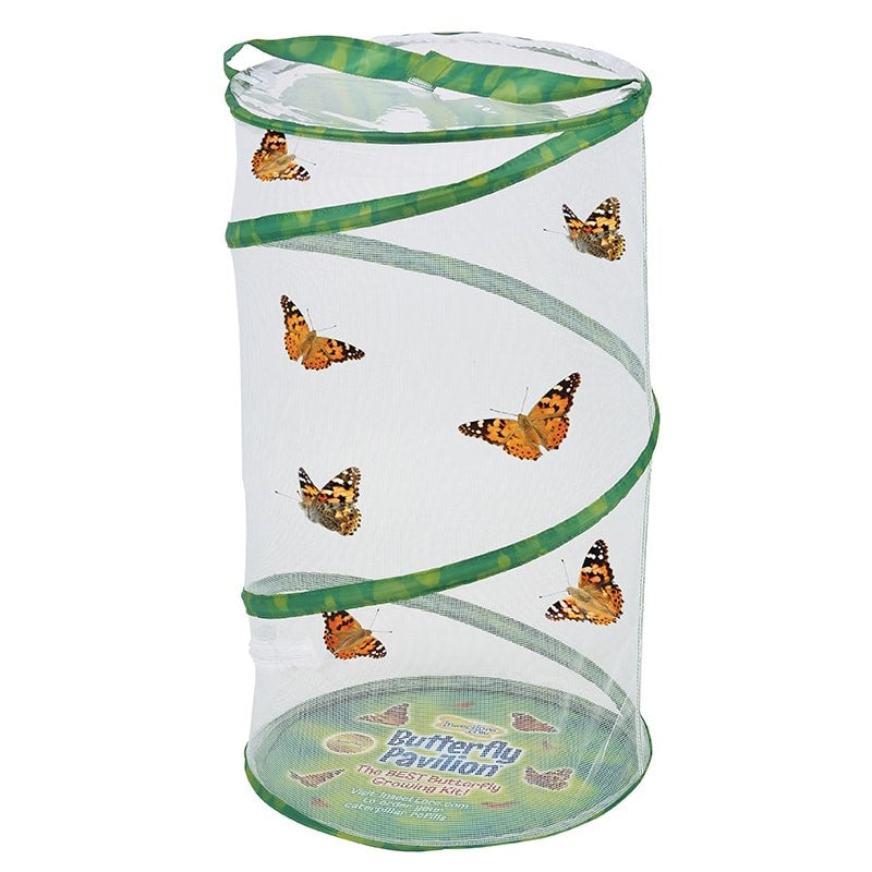 Butterfly With When Insect Lore Ready Voucher Plan Pavilion® Your | Project -