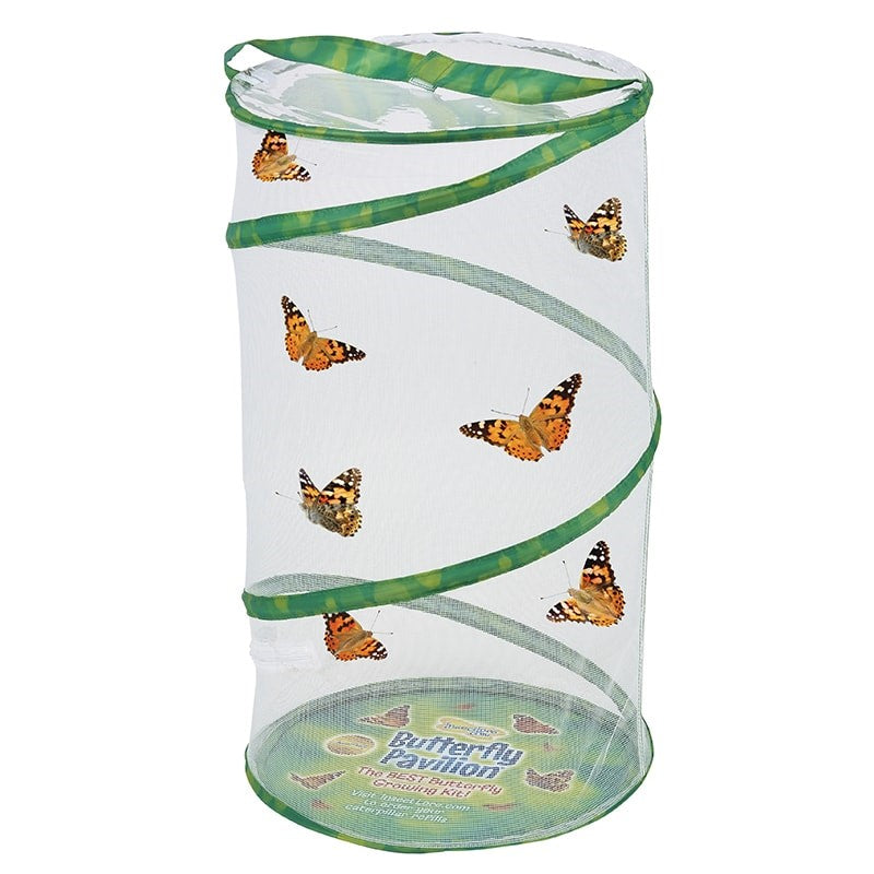 Pop up mesh habitat full of orange and black butterflies. 