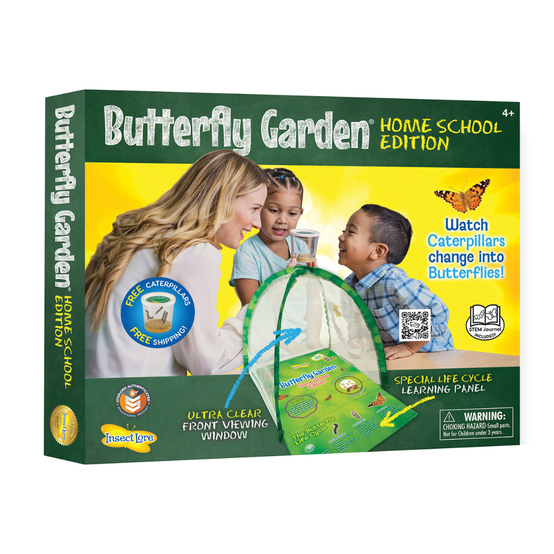 Green and yellow packaging featuring a teach with two students looking into a Cup of Caterpillars with a tent shaped butterfly habitat