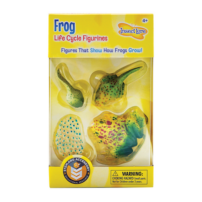 Realistic, plastic figurines featuring the life cycle of a frog in yellow Insect Lore packaging