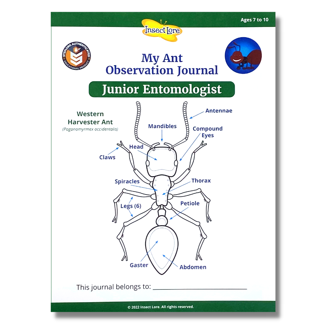 Junior Ant STEM Journal -- Special Offer!