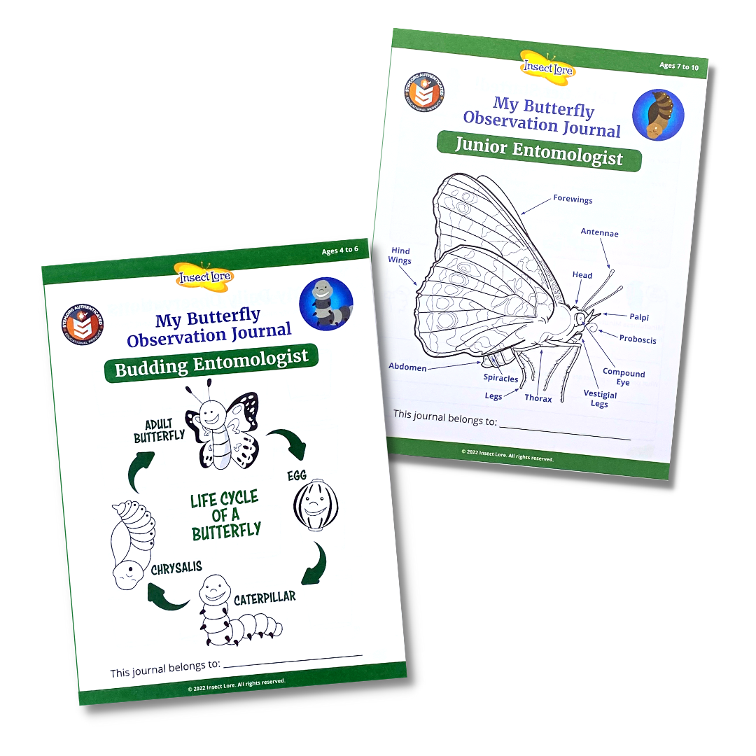 Two STEM Activity Journal Covers with the life cycle of a butterfly and the anatomy of a butterfly