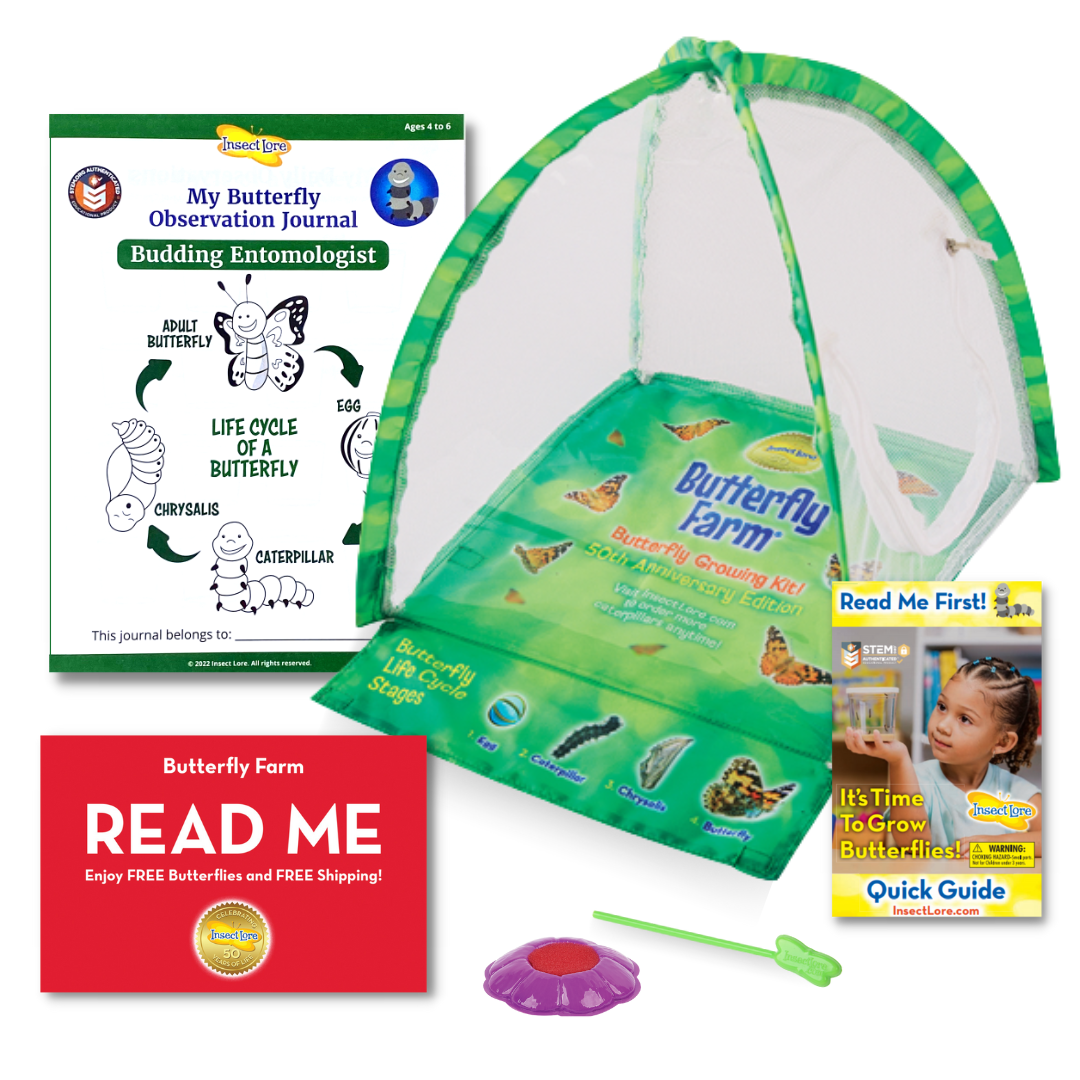 tent shaped butterfly habitat, butterfly STEM observation journal, green feeding dropper, purple flower shaped butterfly feeder, voucher for Cup of Caterpillars, instructional guide