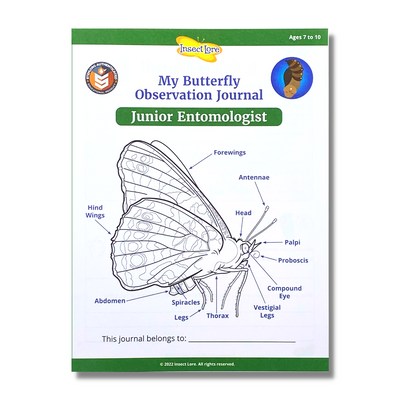 STEM Activity Journal Cover featuring the anatomy of a butterfly