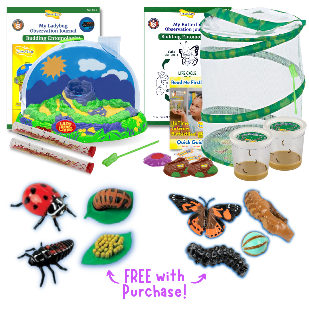 Life Cycle Lessons Bundle with Butterfly and Ladybug Figurines FREE