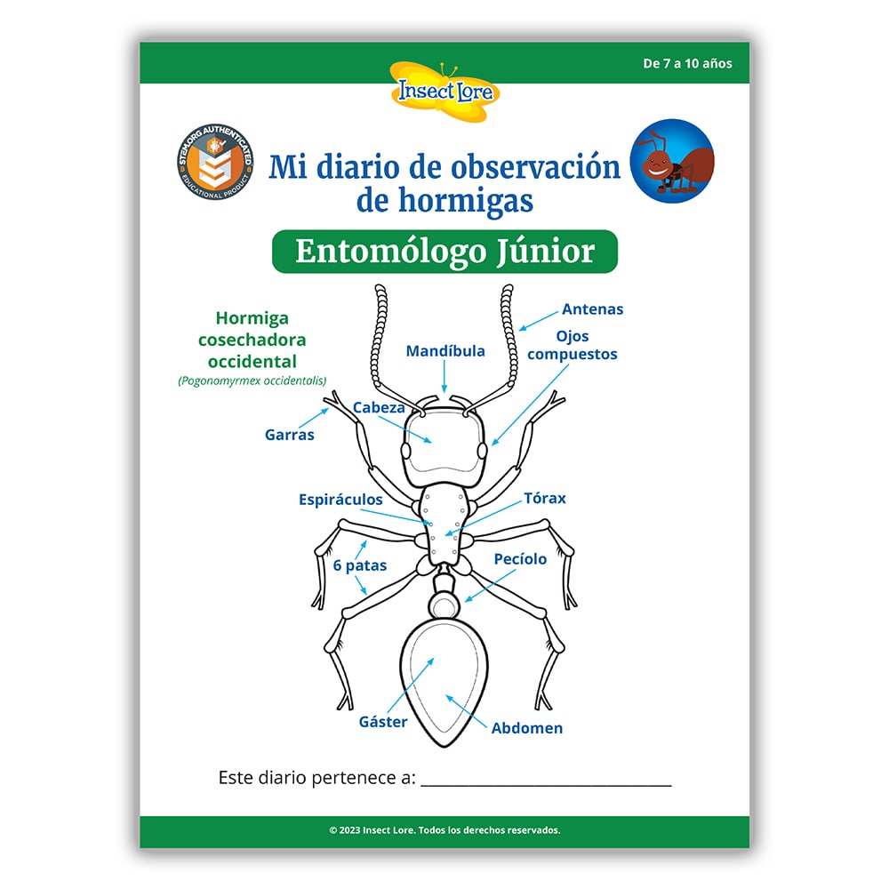 STEM Activity Journal Cover showing the parts of an ant in Spanish