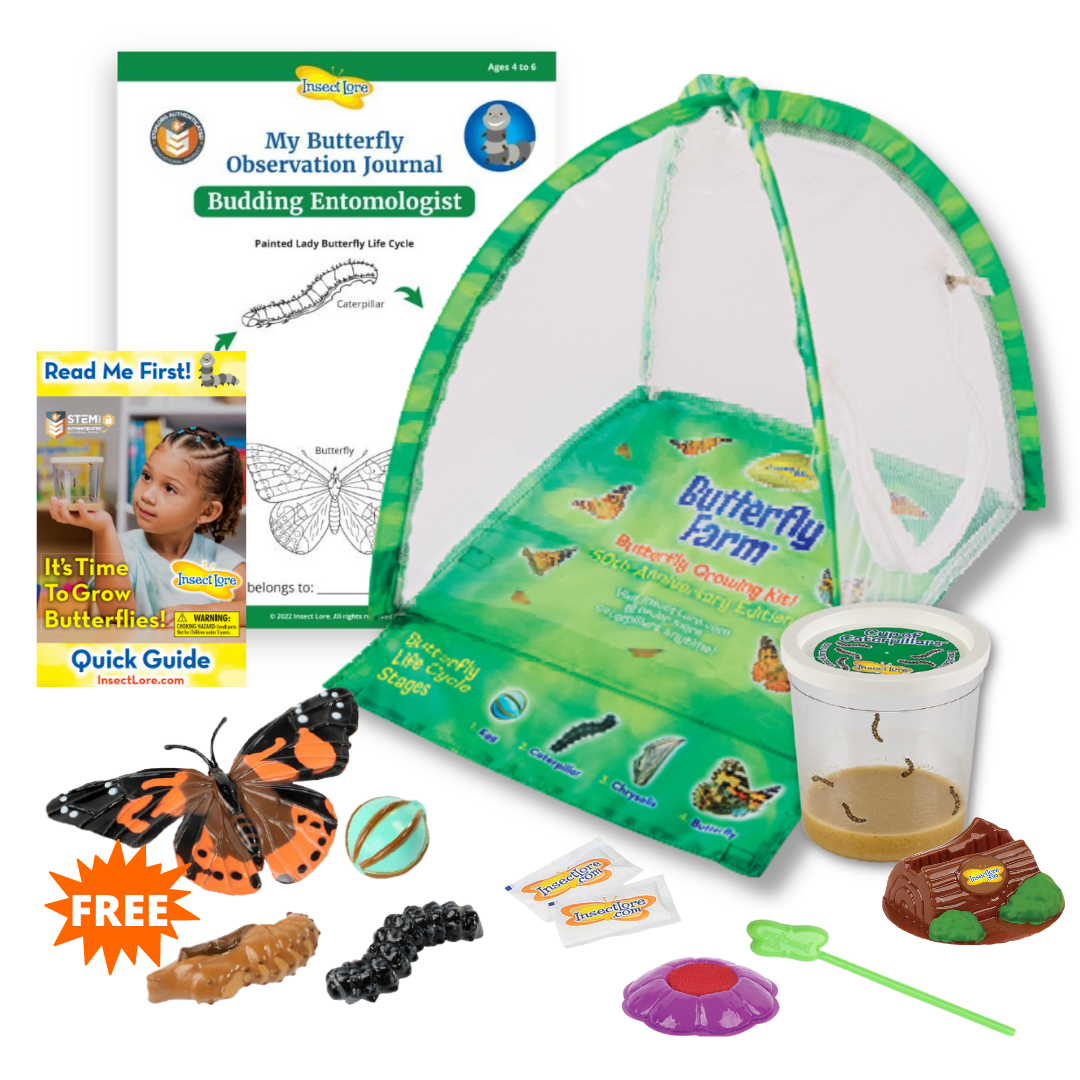 Butterfly Farm With Live Cup of Caterpillars and FREE Life Cycle Stages